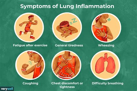 Understanding Inflammation: Causes, Symptoms, and Treatment Options